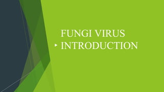 FUNGI VIRUS
INTRODUCTION
 