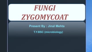 Present By : Jinal Mehta
T.Y.BSC (microbiology)
 