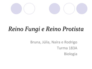 Reino Fungi e Reino Protista Bruna, Júlia, Naíra e Rodrigo Turma 183A Biologia 