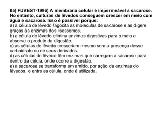 05) FUVEST-1996) A membrana celular é impermeável à sacarose. No entanto, culturas de lêvedos conseguem crescer em meio com água e sacarose. Isso é possível porque: a) a célula de lêvedo fagocita as moléculas de sacarose e as digere graças às enzimas dos lisossomos. b) a célula de lêvedo elimina enzimas digestivas para o meio e absorve o produto da digestão. c) as células de lêvedo cresceriam mesmo sem a presença desse carboidrato ou de seus derivados. d) as células de lêvedo têm enzimas que carregam a sacarose para dentro da célula, onde ocorre a digestão. e) a sacarose se transforma em amido, por ação de enzimas do lêvedos, e entre as célula, onde é utilizada. 