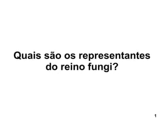 Quais são os representantes do reino fungi? 1 