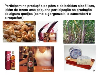 Participam na produção de pães e de bebidas alcoólicas, além de terem uma pequena participação na produção de alguns queijos (como o gorgonzola, o camembert e  o roquefort ) 14 