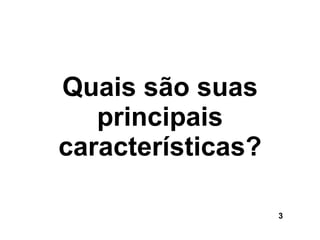 Quais são suas principais características? 3 
