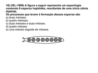 16) UEL-1998) A figura a seguir representa um esporângio contendo 8 esporos haplóides, resultantes de uma única célula diplóide. Os processos que levam à formação desses esporos são a) duas meioses. b) quatro meioses. c) duas meioses e duas mitoses. d) quatro mitoses. e) uma meiose seguida de mitoses. 
