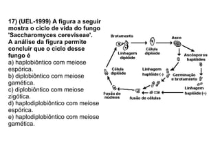 17) (UEL-1999) A figura a seguir mostra o ciclo de vida do fungo 'Saccharomyces cereviseae'.  A análise da figura permite concluir que o ciclo desse fungo é a) haplobiôntico com meiose espórica. b) diplobiôntico com meiose gamética. c) diplobiôntico com meiose zigótica. d) haplodiplobiôntico com meiose espórica. e) haplodiplobiôntico com meiose gamética. 
