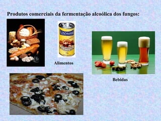 Produtos comerciais da fermentação alcoólica dos fungos:




                   Alimentos


                                            Bebidas
 