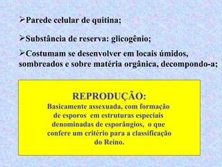 Parede celular de quitina;

Substância de reserva: glicogênio;
Costumam se desenvolver em locais úmidos,
sombreados e sobre matéria orgânica, decompondo-a;


               REPRODUÇÃO:
       Basicamente assexuada, com formação
         de esporos em estruturas especiais
        denominadas de esporângios, o que
       confere um critério para a classificação
                     do Reino.
 