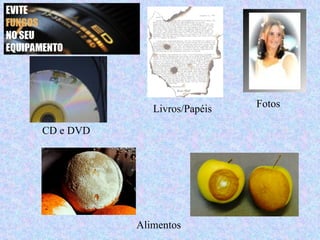 Livros/Papéis   Fotos

CD e DVD




           Alimentos
 