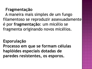 Fragmentação
  A maneira mais simples de um fungo
filamentoso se reproduzir assexuadamente
é por fragmentação: um micélio se
fragmenta originando novos micélios.

Esporulação
Processo em que se formam células
haplóides especiais dotadas de
paredes resistentes, os esporos.
 