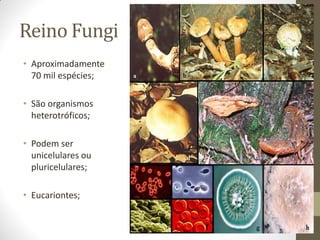 Reino Fungi
• Aproximadamente
  70 mil espécies;

• São organismos
  heterotróficos;

• Podem ser
  unicelulares ou
  pluricelulares;

• Eucariontes;
 