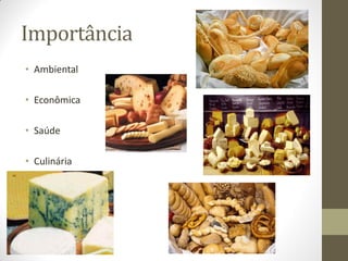 Importância
• Ambiental

• Econômica

• Saúde

• Culinária
 