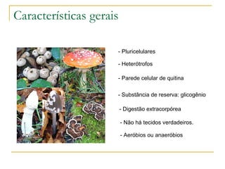 Características gerais Pluricelulares Heterótrofos Parede celular de quitina - Substância de reserva: glicogênio - Digestão extracorpórea - Não há tecidos verdadeiros. - Aeróbios ou anaeróbios 