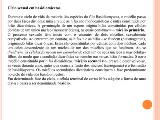 Ciclo sexual em basidiomicetos   Durante o ciclo de vida da maioria das espécies do filo Basidiomycota, o micélio passa por duas fases distintas: uma em que as hifas são monocarióticas e outra constituída por hifas dicarióticas. A germinação de um esporo origina hifas constituídas por células dotadas de um único núcleo (monocarióticas), as quais const ituem o  micélio primário. O processo sexuado têm inicio com o encontro de dois micélios sexualmente compatíveis. Ao entrarem em contato, as hifas + e as hifas - se fundem (plasmogamia), originando hifas dicarióticas. Estas são constituídas por células com dois núcleos, cada um deles descendente de um núcleo de um dos micélios que se fundiram. Ao se  dividirem, as células fornecem um exemplar de  cada um de seus núcleos a suas células-filhas, de modo que a condição dicariótica se mantêm nas novas hifas formadas. 0 novo micélio constituído por hifas dicarióticas,  micélio secundário,  cresce e desenvolve-se, as vezes durante anos, antes que ocorra a fusão dos núcleos (cariogamia) e a formação de basidiósporos. Os micélios secundários dicarióticos constituem a fase predominante no ciclo de vida dos basidiomicetos. Em determinada fase do ciclo, a célula terminal de certas hifas adquire a forma de uma clava e passa a ser denominada  basídio. 