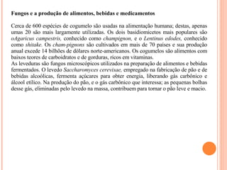 Fungos e a produção de alimentos, bebidas e medicamentos   Cerca de 600 espécies de cogumelo são usadas na alimentação humana; destas, apenas umas 20 são mais largamente utilizadas. Os dois basidiomicetos mais populares são  oAgaricus campestris,  conhecido como  champignon,  e o  Lentinus edodes,  conhecido como  shitake.  Os  cham­pignons  são cultivados em mais de 70 países e sua produção anual excede 14 bilhões de dólares norte-americanos. Os cogumelos são alimentos com baixos teores de carboidratos e de gorduras, ricos em vitaminas. As leveduras são fungos microscópicos utilizados na preparação de alimentos e bebidas fermentados. O levedo  Saccharomyces cerevisae,  empregado na fabricação de pão e de bebidas alcoólicas, fermenta açúcares para obter energia, liberando gás carbônico e álcool etílico. Na produção do pão, e o gás carbônico que interessa; as pequenas bolhas desse gás, eliminadas pelo levedo na massa, contribuem para tornar o pão leve e macio. 