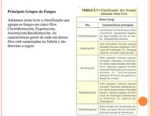 Principais Grupos de Fungos   Adotamos neste livro a classificação que agrupa os fungos em cinco filos: Chytridiomycota, Zygomycota, Ascomycota Basidiomycota. As características gerais de cada um desses filos estõ sumarizadas na Tabela e são descritas a seguir: 