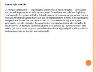 Reprodução sexuada    Os "fungos verdadeiros" — zigomicetos, ascomicetos e basidiomicetos — apresentam processos de reprodução sexuada em que ocorre fusão de núcleos celulares haplóides, com formação de zigotos diplóides. Estes dividem-se imediatamente por meiose (meiose zigótica) para formar células haplóides que se diferenciam em esporos. Nos zigomicetos, os esporos resultantes dos processos sexuais recebem o nome de zigosporos; nos ascomicetos eles são chamados de ascósporos e, nos basidiomicetos, são chamados de basidiósporos. Os biólogos costumam chamar esses esporos de "esporos sexuais" para indicar que eles tiveram origem a partir da meiose de um zigoto diplóide, diferenciando-os dos esporos que se formam assexuadamente. 