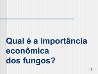 Qual é a importância
econômica
dos fungos?
                       13
 