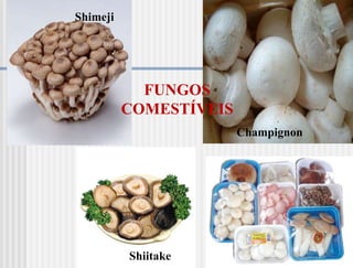 Shimeji




            FUNGOS
          COMESTÍVEIS
                        Champignon




          Shiitake
 