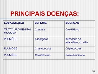 PRINCIPAIS DOENÇAS:
LOCALIZAÇAO       ESPÉCIE        DOENÇAS

TRATO UROGENITAL, Candida        Candidíase
MUCOSA

PULMÕES           Aspergillus    Infecções na
                                 pele,olhos, ouvido.

PULMÕES           Cryptococcus   Criptococose

PULMÕES           Coccidioides   Coccidiomicose




                                                       33
 