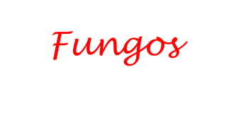 Fungos
 