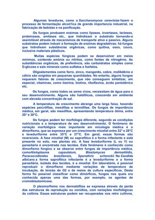 Algumas leveduras, como o Saccharomyces cerevisiae fazem o
processo de fermentação alcoó1ica de grande importancia industrial, na
fabricação de bebidas e na panificação.
Os fungos produzem enzimas como lipases, invertases, lactases,
proteinases, amilases etc., que hidrolisam o substrato tornando-o
assimilável através de mecanismos de transporte ativo e passivo. Alguns
substratos podem induzir a formação de enzimas degradativas; há fungos
que hidrolisam substâncias orgânicas, como quitina, osso, couro,
inclusive materiais plásticos.
Muitas espécies fúngicas podem se desenvolver em meios
mínimos, contendo amônia ou nitritos, como fontes de nitrogênio. As
substãâncias orgânicas, de preferência, são carboidratos simples como
D-glicose e sais minerais como sulfatos e fosfatos.
Oligoelementos como ferro, zinco, manganês, cobre, molibdênio e
cálcio são exigidos em pequenas quantidades. No entanto, alguns fungos
requerem fatores de crescimento, que não conseguem sintetizar, em
especial, vitaminas, como tiamina, biotina, riboflavina, ácido pantotênico
etc.
Os fungos, como todos os seres vivos, necessitam de água para o
seu desenvolvimento. Alguns são halofílicos, crescendo em ambiente
com elevada concentração de sal.
A temperatura de crescimento abrange uma larga faixa, havendo
espécies psicrôfilas, mesófilas e termófilas. Os fungos de importância
médica, em geral, são mesófilos, apresentando temperatura ótima, entre
20° e 30°C.
Os fungos podem ter morfologia diferente, segundo as condições
nutricionais e a temperatura de seu desenvolvimento. O fenômeno de
variação morfolôgica mais importante em micologia médica é o
dimorfismo, que se expressa por um crescimento micelial entre 22° e 28°C
e leveduriforme entre 35°C e 37°C. Em geral, essas formas são
reversíveis. A fase micelial (M) ou saprofítica é a forma infectante e está
presente no solo, nas plantas etc. A fase leveduriforme (L ou Y) ou
parasitaria é encontrada nos tecidos. Este fenômeno é conhecido como
dimorfismo fúngico e se observe entre fungos de importância médica,
comoHistoplasma capsulatum, Blastomyces dermatitidis,
Paracoccidioides brasiliensis, Sporothrix schenckii. Na Candida
albicans a forma saprofítica infectante é a leveduriforme e a forma
parasitária, isolada dos tecidos, é a micelial. Em laboratório, é possível
reproduzir o dimorfismo mediante variações de temperatura de
incubação, de tensão de O2 e de meios de cultura específicos. Desta
forma foi possível classificar como dimórficos, fungos nos quais era
conhecida apenas uma das formas, por exemplo, os agentes de
cromoblastomicose.
O pleomorfismo nos dermatófitos se expressa através da perda
das estruturas de reprodução ou conídios, com variações morfológicas
da colônia. Essas estruturas podem ser recuperadas nos retro cultivos,
 
