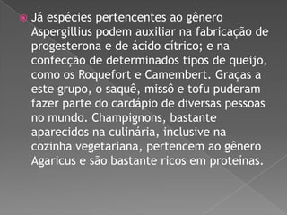 

Já espécies pertencentes ao gênero
Aspergillius podem auxiliar na fabricação de
progesterona e de ácido cítrico; e na
confecção de determinados tipos de queijo,
como os Roquefort e Camembert. Graças a
este grupo, o saquê, missô e tofu puderam
fazer parte do cardápio de diversas pessoas
no mundo. Champignons, bastante
aparecidos na culinária, inclusive na
cozinha vegetariana, pertencem ao gênero
Agaricus e são bastante ricos em proteínas.

 