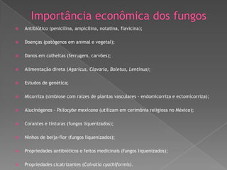 

Antibiótico (penicilina, ampicilina, notatina, flavicina);



Doenças (patógenos em animal e vegetal);



Danos em colheitas (ferrugem, carvões);



Alimentação direta (Agaricus, Clavaria, Boletus, Lentinus);



Estudos de genética;



Micorriza (simbiose com raízes de plantas vasculares - endomicorriza e ectomicorriza);



Alucinógenos - Psilocybe mexicana (utilizam em cerimônia religiosa no México);



Corantes e tinturas (fungos liquenizados);



Ninhos de beija-flor (fungos liquenizados);



Propriedades antibióticos e feitos medicinais (fungos liquenizados);



Propriedades cicatrizantes (Calvatia cyathiformis).

 