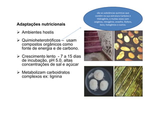Adaptações nutricionais 
 Ambientes hostis 
 Quimioheterotróficos – usam 
compostos orgânicos como 
fonte de energia e de carbono. 
 Crescimento lento - 7 a 15 dias 
de incubação, pH 5.0, altas 
concentrações de sal e açúcar 
 Metabolizam carboidratos 
complexos ex: lignina 
são as substâncias químicas que 
contêm na sua estrutura Carbono e 
Hidrogênio, e muitas vezes com 
oxigênio, nitrogênio, enxofre, fósforo, 
boro, halogênios e outros. 
 