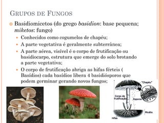 GRUPOS DE FUNGOS
 Basidiomicetos (do grego basidion: base pequena;
miketos: fungo)
 Conhecidos como cogumelos de chapéu;
 A parte vegetativa é geralmente subterrânea;
 A parte aérea, visível é o corpo de frutificação ou
basidiocarpo, estrutura que emerge do solo brotando
a parte vegetativa;
 O corpo de frutificação abriga as hifas férteis (
Basídios) cada basídios libera 4 basidiósporos que
podem germinar gerando novos fungos;
 