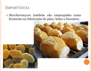 IMPORTÂNCIA
 Saccharomyces também são empregados como
fermento na fabricação de pães, bolos e biscoitos;
 