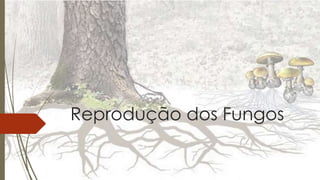 Reprodução dos Fungos
.
 