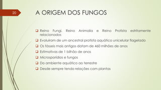 A ORIGEM DOS FUNGOS
 Reino Fungi, Reino Animalia e Reino Protista estritamente
relacionados
 Evoluíram de um ancestral protista aquático unicelular flagelado
 Os fósseis mais antigos datam de 460 milhões de anos
 Estimativas de 1 bilhão de anos
 Microsporídios e fungos
 Do ambiente aquático ao terrestre
 Desde sempre tendo relações com plantas
20
 