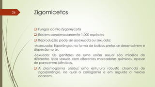 Zigomicetos
 Fungos do Filo Zygomycota
 Existem aproximadamente 1.000 espécies
 Reprodução pode ser assexuada ou sexuada:
-Assexuada: Esporângios na forma de bolbos pretos se desenvolvem e
dispersão no ar.
-Sexuada: Os genitores de uma união sexual são micélios de
diferentes tipos sexuais com diferentes marcadores químicos, apesar
de parecerem idênticos.
 A plasmogamia produz uma estrutura robusta chamada de
zigosporângio, na qual a cariogamia e em seguida a meiose
ocorrem.
26
 