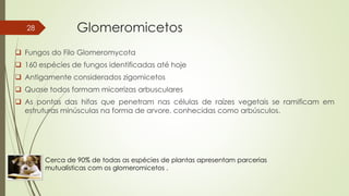 Glomeromicetos
 Fungos do Filo Glomeromycota
 160 espécies de fungos identificadas até hoje
 Antigamente considerados zigomicetos
 Quase todos formam micorrizas arbusculares
 As pontas das hifas que penetram nas células de raízes vegetais se ramificam em
estruturas minúsculas na forma de arvore, conhecidas como arbúsculos.
Cerca de 90% de todas as espécies de plantas apresentam parcerias
mutualísticas com os glomeromicetos .
28
 