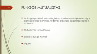 FUNGOS MUTUALISTAS
 Os fungos podem formar relações mutualísticas com plantas, algas,
cianobactérias e animais. Podemos classificar essas relações de 3
maneiras:
 Mutualismos Fungo-Planta
 Simbiose Fungo-Animal
 Líquens
35
 