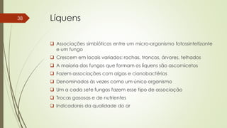 Líquens
 Associações simbióticas entre um micro-organismo fotossintetizante
e um fungo
 Crescem em locais variados: rochas, troncos, árvores, telhados
 A maioria dos fungos que formam os líquens são ascomicetos
 Fazem associações com algas e cianobactérias
 Denominados às vezes como um único organismo
 Um a cada sete fungos fazem esse tipo de associação
 Trocas gasosas e de nutrientes
 Indicadores da qualidade do ar
38
 