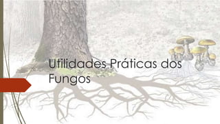 Utilidades Práticas dos
Fungos
.
 