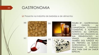 GASTRONOMIA
 Presente na indústria de bebidas e de alimentos
FIGURA 29 – GASTRONOMIA
DOS FUNGOS: (a)
CHAMPGNON, COGUMELO
COMESTÍVEL E ALTAMENTE
NUTRITIVO; (b) CERVEJAS,
FUNGOS SÃO UTILIZADOS NA
SUA FERMENTAÇÃO; (c)
VINHOS, NECESSITAM
TAMBÉM DOS FUNGOS NO
SEU PREPARO; (d) QUEIJO
GORGONZOLA, O FUNGO
PENICILLIUM É INJETADO
NELE PARA DAR UM SABOR
ESPECIAL
(c)
(b)(a)
(d)
44
 