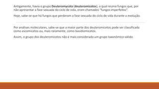 Antigamente, havia o grupo Deuteromycota (deuteromicetos), o qual reunia fungos que, por
não apresentar a fase sexuada do ciclo de vida, eram chamados “fungos imperfeitos”.
Hoje, sabe-se que há fungos que perderam a fase sexuada do ciclo de vida durante a evolução.
Por análises moleculares, sabe-se que a maior parte dos deuteromicetos pode ser classificada
como ascomicetos ou, mais raramente, como basidiomicetos.
Assim, o grupo dos deuteromicetos não é mais considerado um grupo taxonômico válido.
 