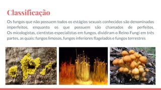 Fungos | PDF
