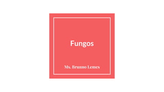 Fungos
Ms. Brunno Lemes
 