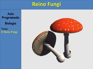 Aula
Programada
Biologia
Tema:
O Reino Fungi
Reino Fungi
 