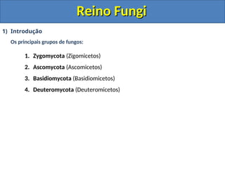 Reino Fungi
Reino Fungi
1) Introdução
Os principais grupos de fungos:
1. Zygomycota (Zigomicetos)
2. Ascomycota (Ascomicetos)
3. Basidiomycota (Basidiomicetos)
4. Deuteromycota (Deuteromicetos)
 