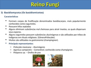 Reino Fungi
Reino Fungi
3) Basidiomycota (Os basidiomicetos)
Características
 Formam corpos de frutificação denominados basidiocarpos, mais popularmente
conhecidos como cogumelos.
 Possuem hifas septadas
 Alguns eliminam substâncias mal cheirosas para atrair insetos, os quais dispersam
seus esporos.
 Alguns cogumelos possuem substâncias alucinógenas e são utilizados por tribos de
indígenas em rituais religiosos. (GêneroPsilocybe).
 Muitos são utilizados na gastronomia (champingnon).
 Principais representantes:
o Psilocybe mexicana – Alucinógeno
o Agaricus campestris – Comestível, conhecido como champignon.
o Polyporus sp. – Orelha de pau
 