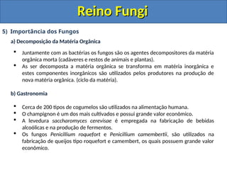 Reino Fungi
Reino Fungi
5) Importância dos Fungos
a) Decomposição da Matéria Orgânica
 Juntamente com as bactérias os fungos são os agentes decompositores da matéria
orgânica morta (cadáveres e restos de animais e plantas).
 As ser decomposta a matéria orgânica se transforma em matéria inorgânica e
estes componentes inorgânicos são utilizados pelos produtores na produção de
nova matéria orgânica. (ciclo da matéria).
b) Gastronomia
 Cerca de 200 tipos de cogumelos são utilizados na alimentação humana.
 O champignon é um dos mais cultivados e possui grande valor econômico.
 A levedura saccharomyces cerevisae é empregada na fabricação de bebidas
alcoólicas e na produção de fermentos.
 Os fungos Penicillium roquefort e Penicillium camembertii, são utilizados na
fabricação de queijos tipo roquefort e camembert, os quais possuem grande valor
econômico.
 