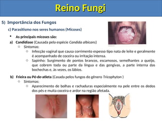 Reino Fungi
Reino Fungi
5) Importância dos Fungos
c) Parasitismo nos seres humanos (Micoses)
 As principais micoses são:
a) Candidíase (Causada pela espécie Candida albicans)
o Sintomas:
o Infecção vaginal que causa corrimento espesso tipo nata de leite e geralmente
é acompanhado de coceira ou irritação intensa.
o Sapinho: Surgimento de pontos brancos, escamosos, semelhantes a queijo,
que cobrem toda ou parte da língua e das gengivas, a parte interna das
bochechas e, às vezes, os lábios.
b) Frieira ou Pé-de-atleta (Casada pelos fungos do gênero Tricophyton )
o Sintomas:
o Aparecimento de bolhas e rachaduras especialmente na pele entre os dedos
dos pés e muita coceira e ardor na região afetada.
 