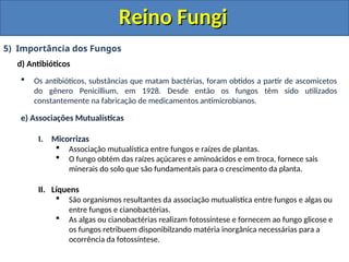 Reino Fungi
Reino Fungi
5) Importância dos Fungos
d) Antibióticos
 Os antibióticos, substâncias que matam bactérias, foram obtidos a partir de ascomicetos
do gênero Penicillium, em 1928. Desde então os fungos têm sido utilizados
constantemente na fabricação de medicamentos antimicrobianos.
e) Associações Mutualísticas
I. Micorrizas
 Associação mutualística entre fungos e raízes de plantas.
 O fungo obtém das raízes açúcares e aminoácidos e em troca, fornece sais
minerais do solo que são fundamentais para o crescimento da planta.
II. Líquens
 São organismos resultantes da associação mutualística entre fungos e algas ou
entre fungos e cianobactérias.
 As algas ou cianobactérias realizam fotossíntese e fornecem ao fungo glicose e
os fungos retribuem disponibilzando matéria inorgânica necessárias para a
ocorrência da fotossíntese.
 