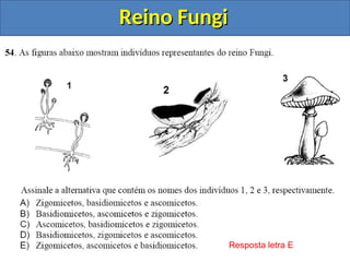 Reino Fungi
Reino Fungi
Resposta letra E
 