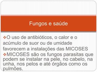 7º ano - 1º bimestre - Fungos | PPT