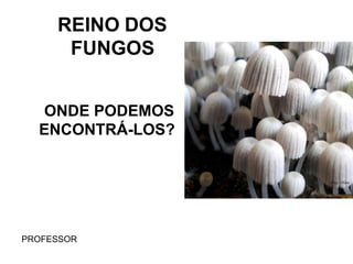 REINO DOS
FUNGOS
ONDE PODEMOS
ENCONTRÁ-LOS?
PROFESSOR
 